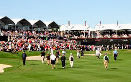 Corporate Hospitality