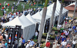Expo Tents