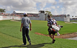 Player Field
