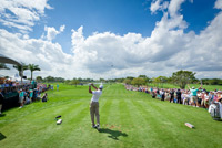 Tiger Woods