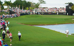 Tips & Event Policies