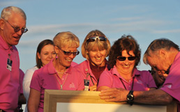 Volunteer Committees