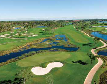 Champion Hole No 11